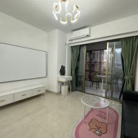 万达商业城~悦港名都 新城国际 城央金座 金茂广场 碧湖天骄 1室1厅1卫 1050元/月